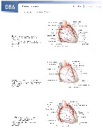 Sobotta  Atlas of Human Anatomy  Trunk, Viscera,Lower Limb Volume2 2006, page 93